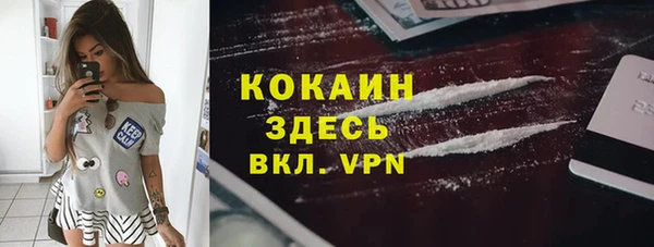 mix Богородицк