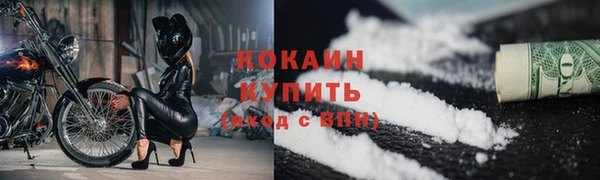 mix Богородицк
