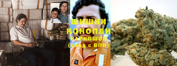 СК Бородино