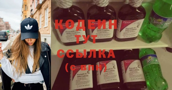 СК Бородино
