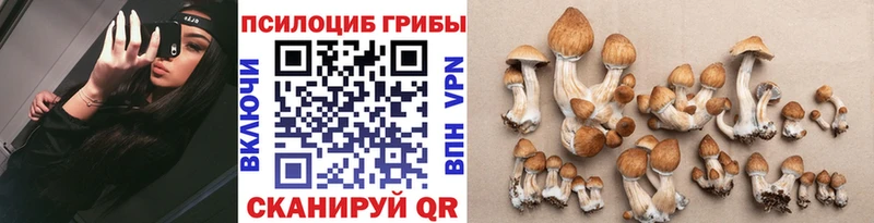 купить наркоту  Бутурлиновка  Галлюциногенные грибы Psilocybe 