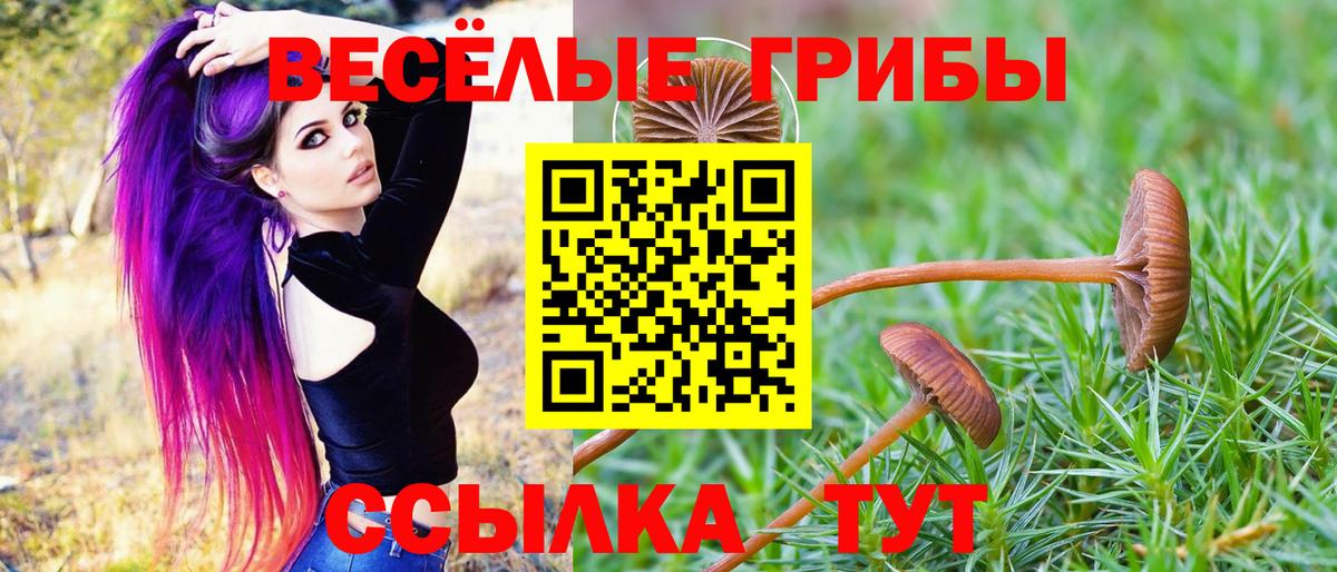 Бутурлиновка  Псилоцибиновые грибы ЛСД  Галлюциногенные грибы прущие грибы  Вход с VPN 